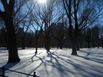 Bonnes F�tes
